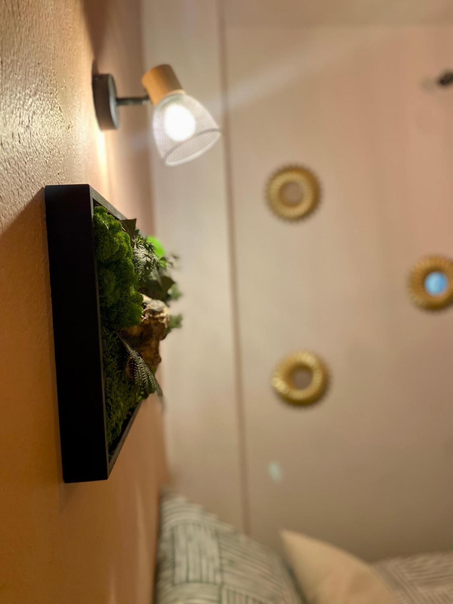 Magnifique Appartement Avignon Intra-Muros Экстерьер фото